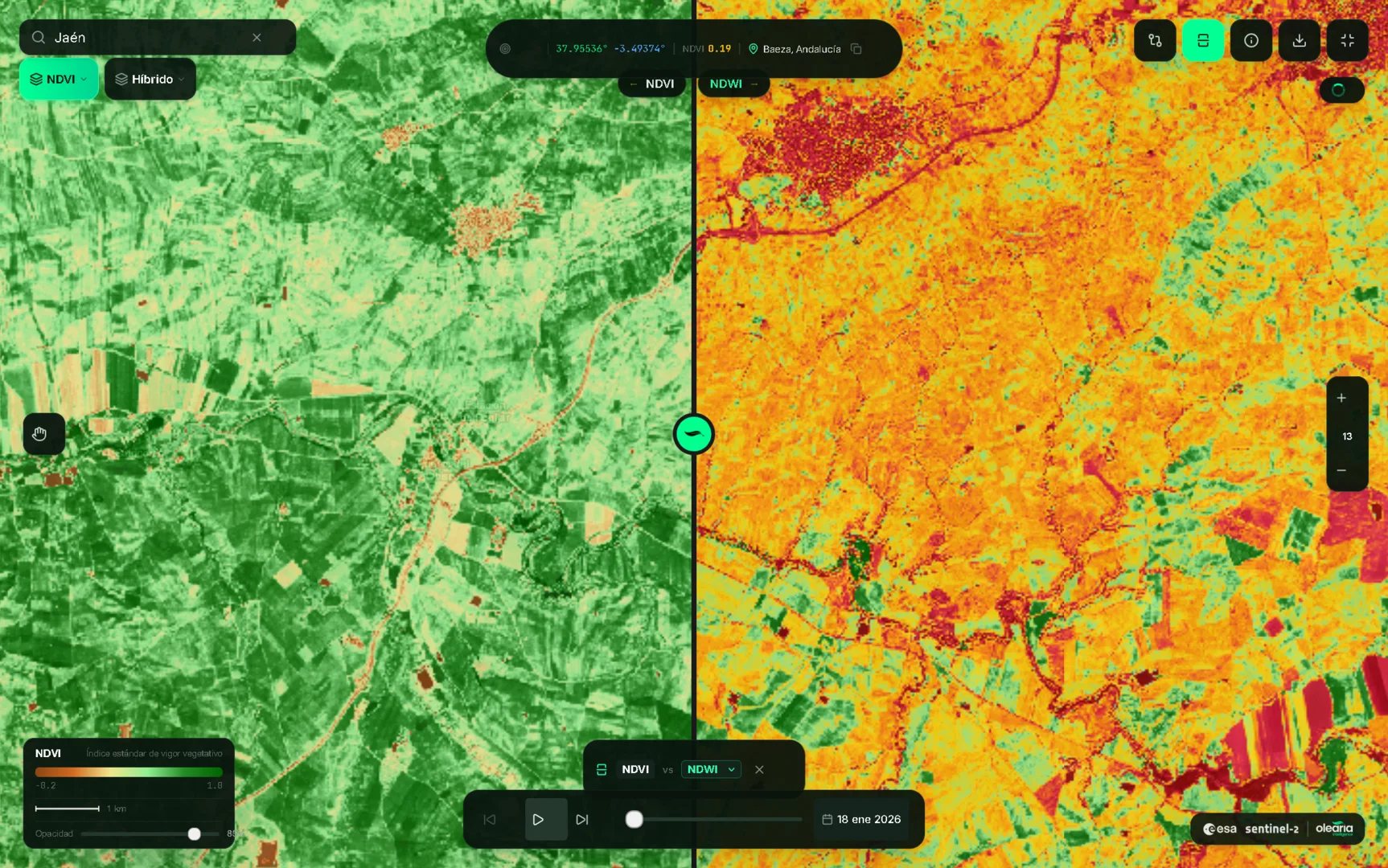 Vista satelital Sentinel-2 de parcelas de olivar